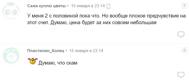 Notcoin не принесет прибыли